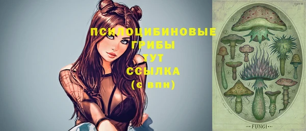 стафф Заводоуковск
