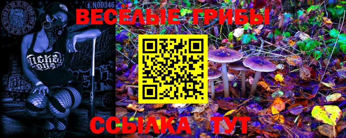 Галлюциногенные грибы Psilocybine cubensis  цены   Слободской  Вход с VPN  Галлюциногенные грибы Cubensis 